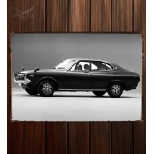 Металлическая табличка Nissan Violet SSS Sedan (710)